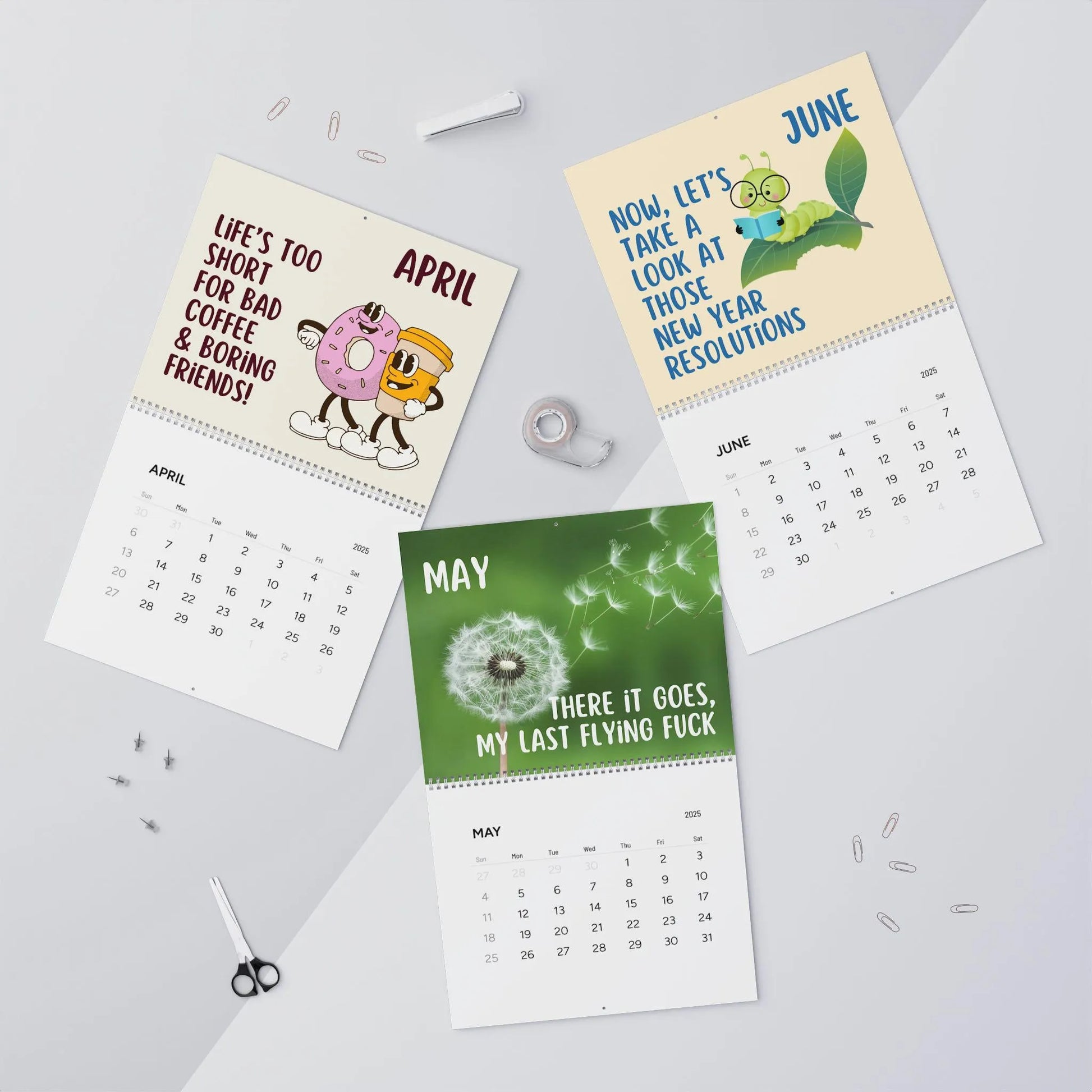 Funny Calendar 2025 | Crazy Cat Lady | Weird & Humorous Wall Art Gift - Ooh-Gift